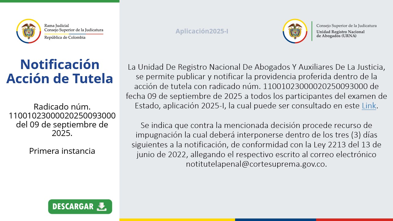 Diapositiva 12