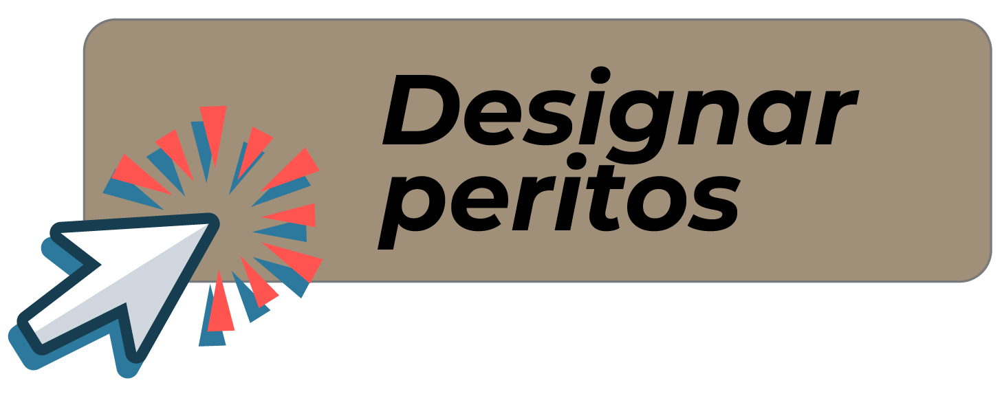 Acceso a Designación