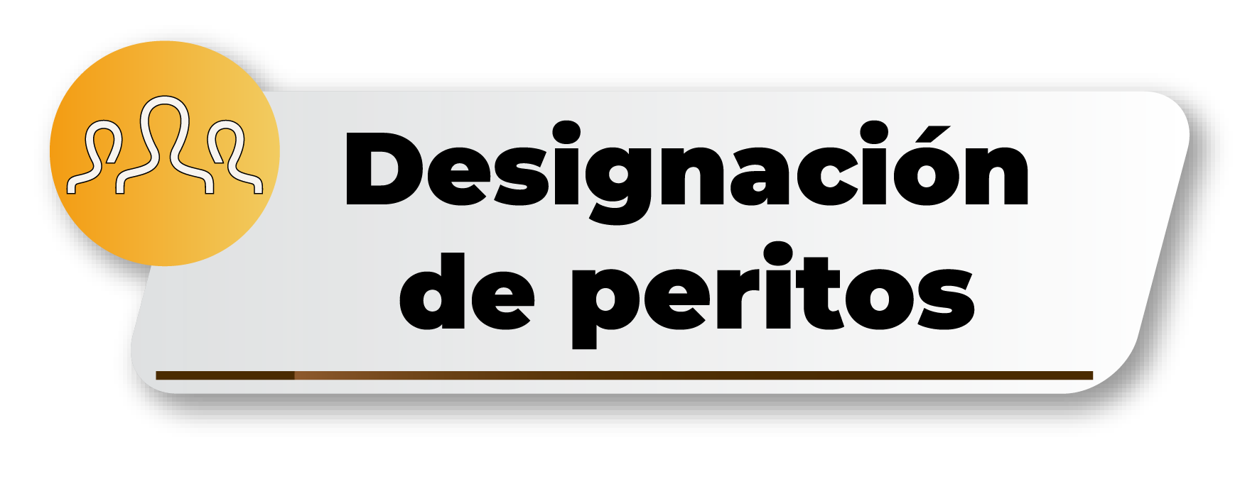 Designación de peritos